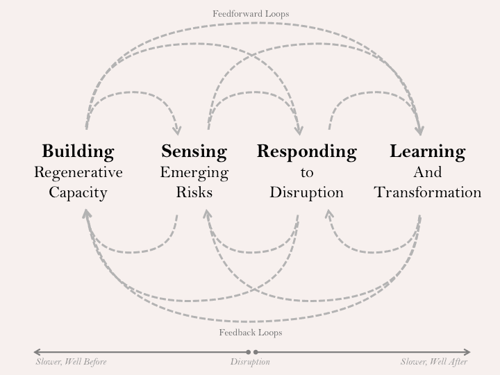 The verbs of resilience