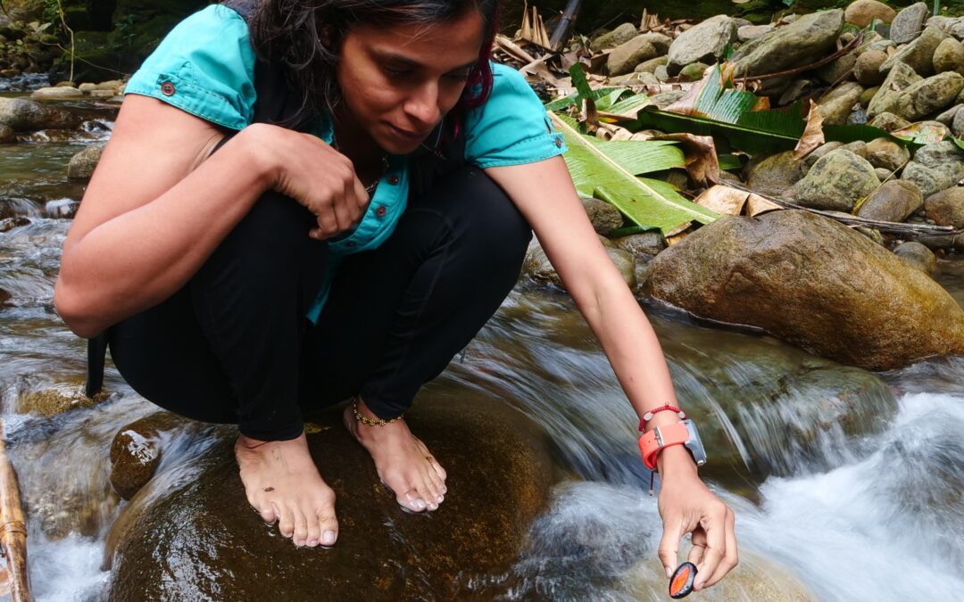 Nandini Velho