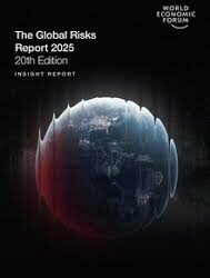 Global risks report 2025